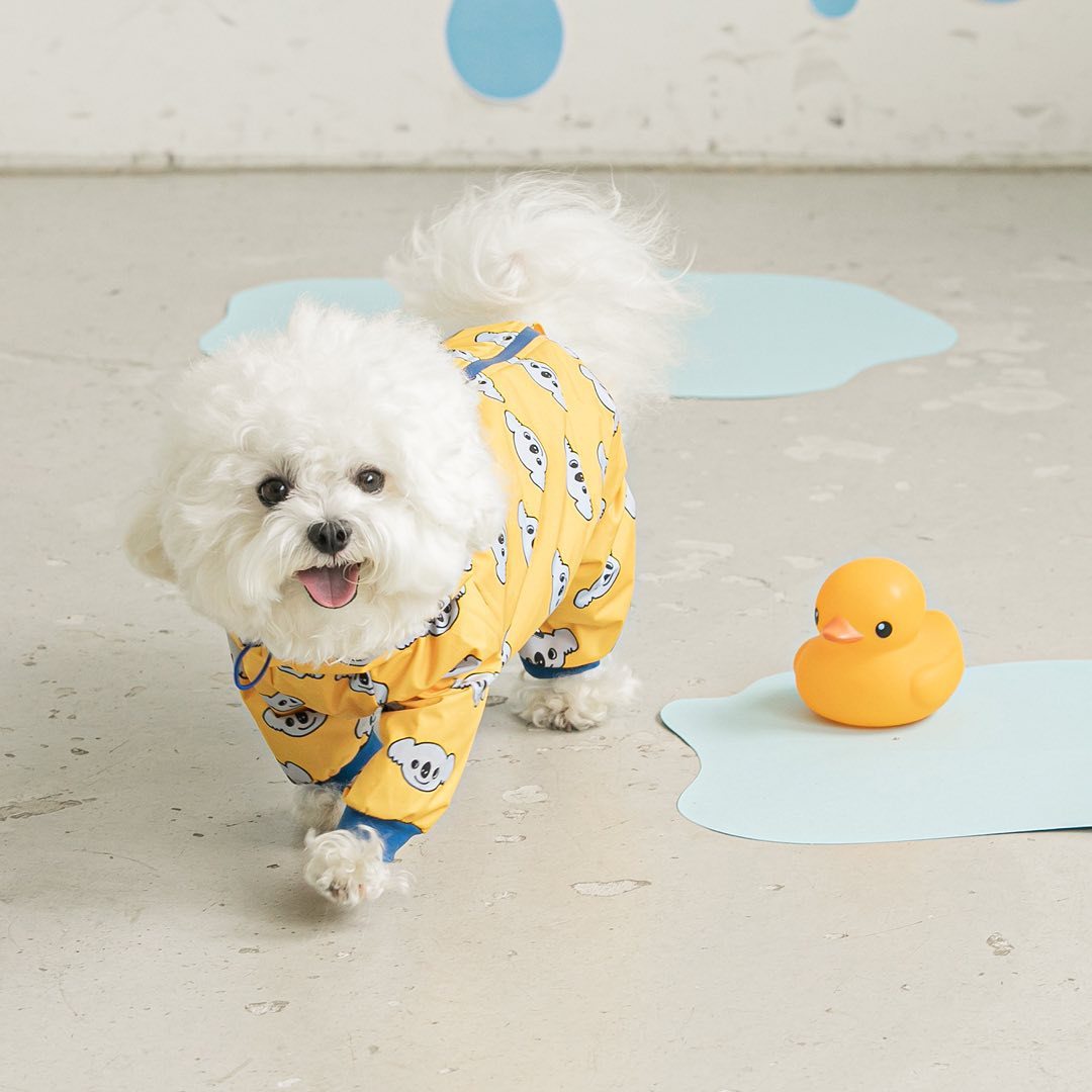 ButtyGo Pet Hooded Raincoat