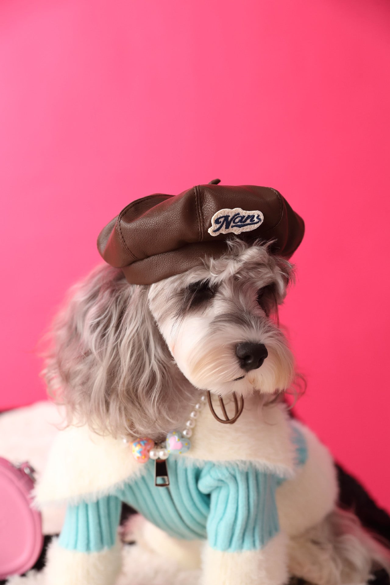 TommyBear Beret Hat for Pets