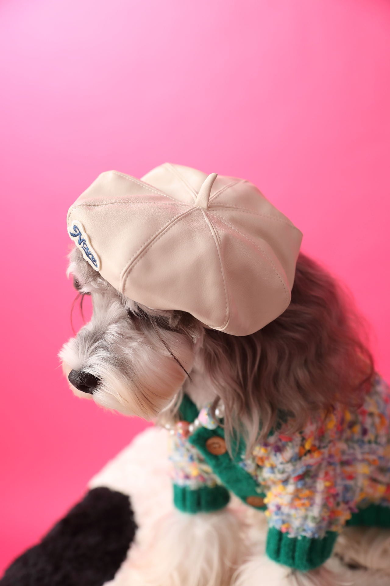 TommyBear Beret Hat for Pets