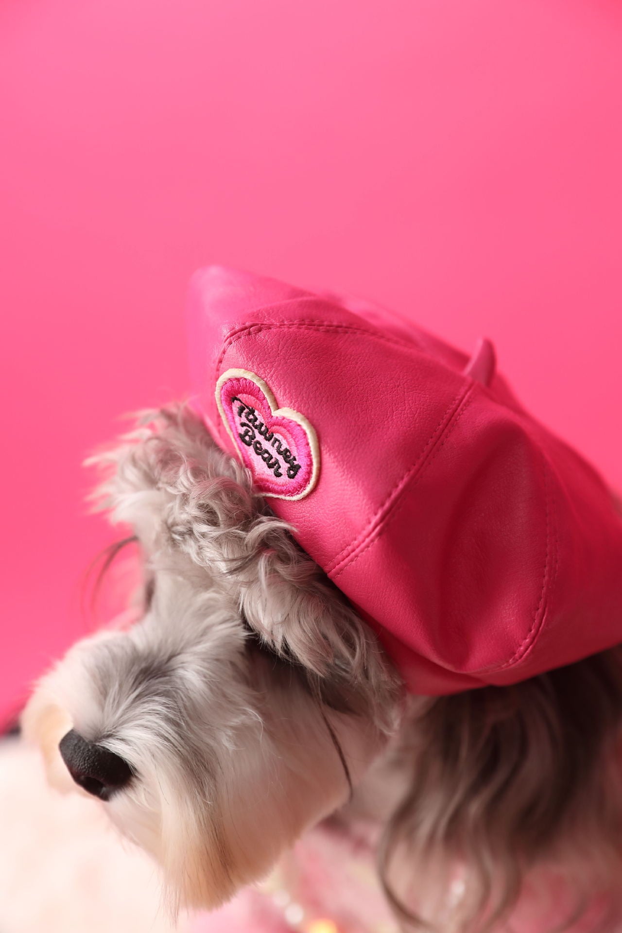 TommyBear Beret Hat for Pets