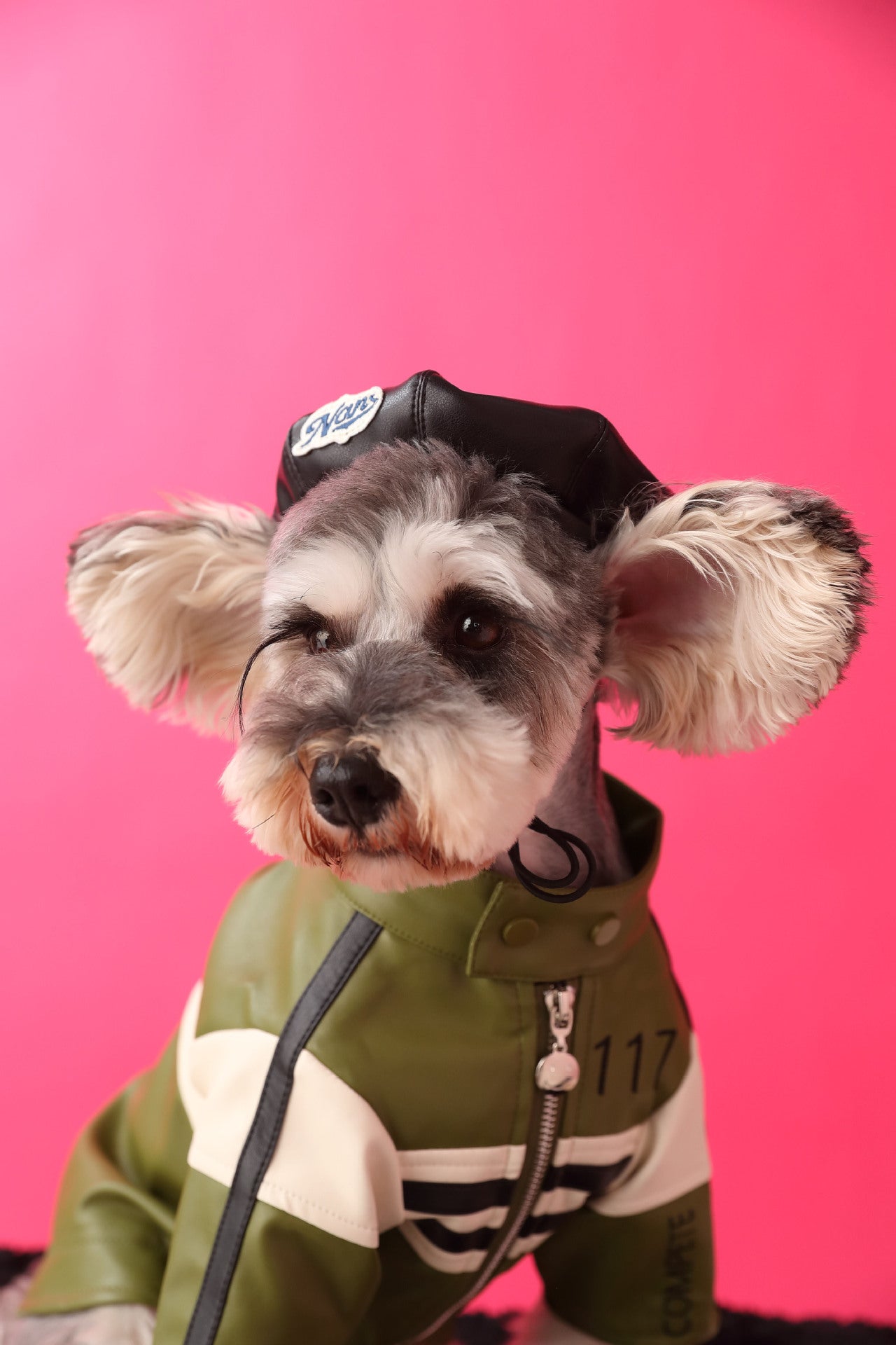 TommyBear Beret Hat for Pets