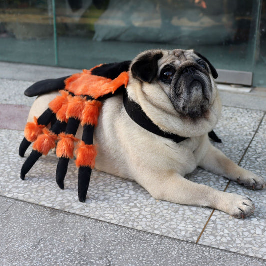 Cos Crazy Spider Pet Costume