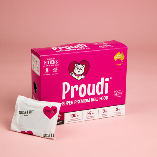 Proudi Premium Raw Cat Turkey&Beef 1.08kg