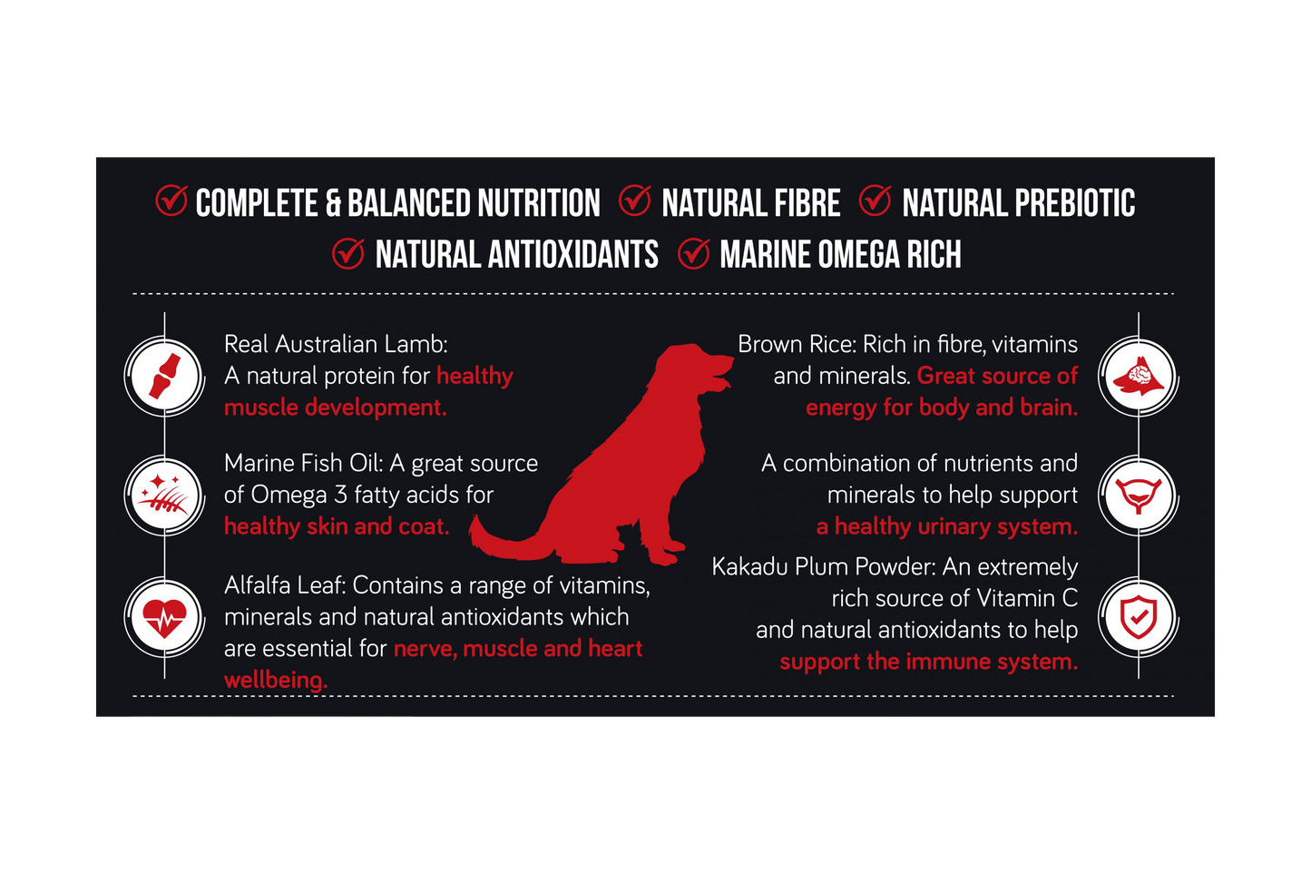 Talentail 成年犬粮 羊肉加糙米 15kg