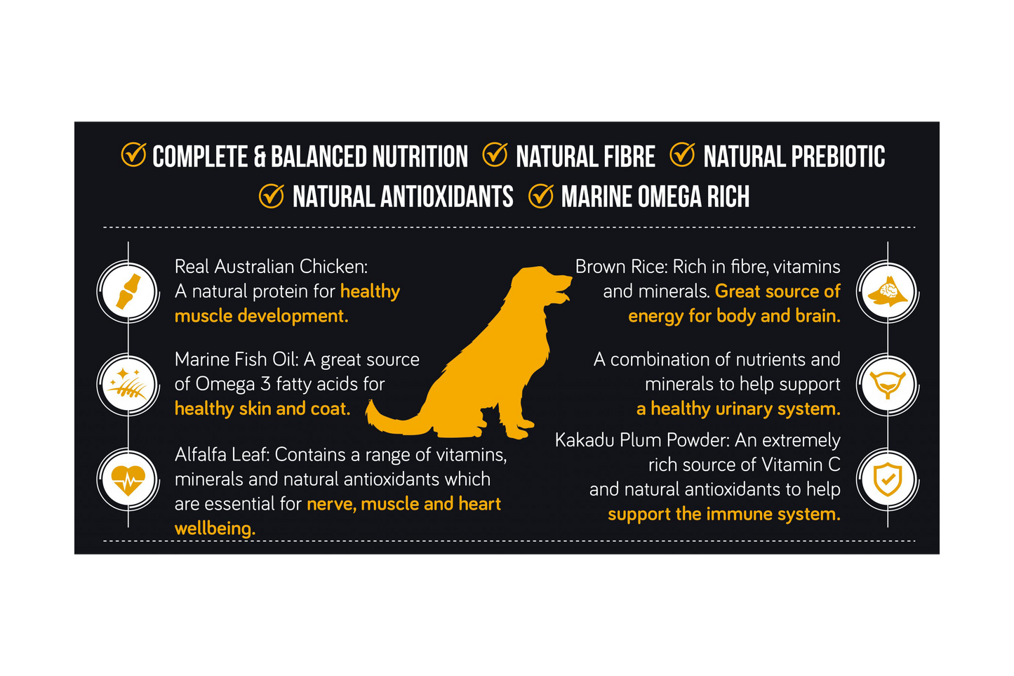 Talentail 成年犬粮 鸡肉加糙米 15kg