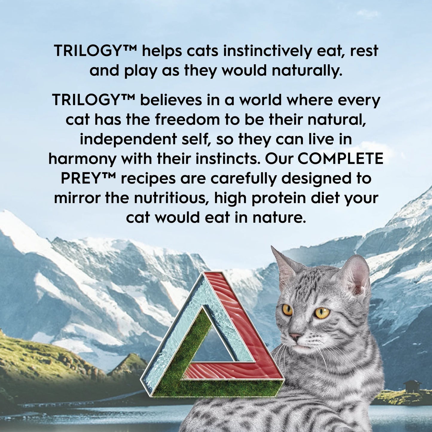 Trilogy™ 完整猎物肉酱野生金枪鱼 85 克