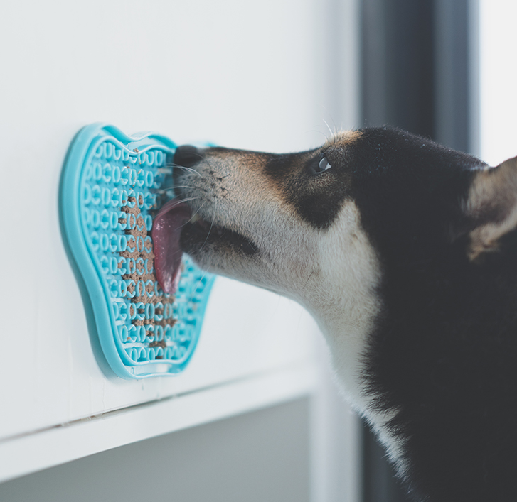 Paw 二合一慢食碗和舔垫