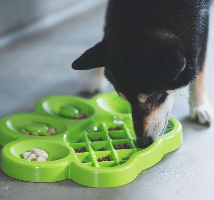 Paw 二合一慢食碗和舔垫