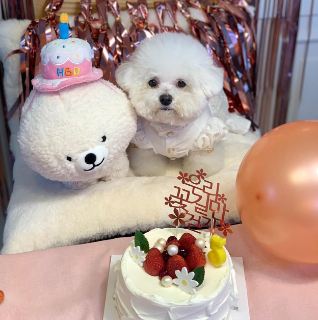 Cloudi Bear 生日快乐帽子