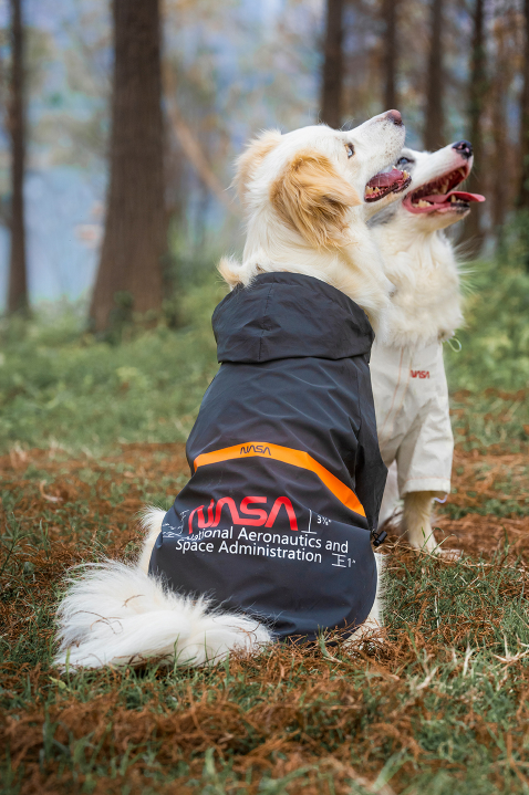 NASA Waterproof Reflective Jacket