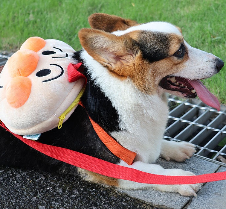 Anpanman Backpack