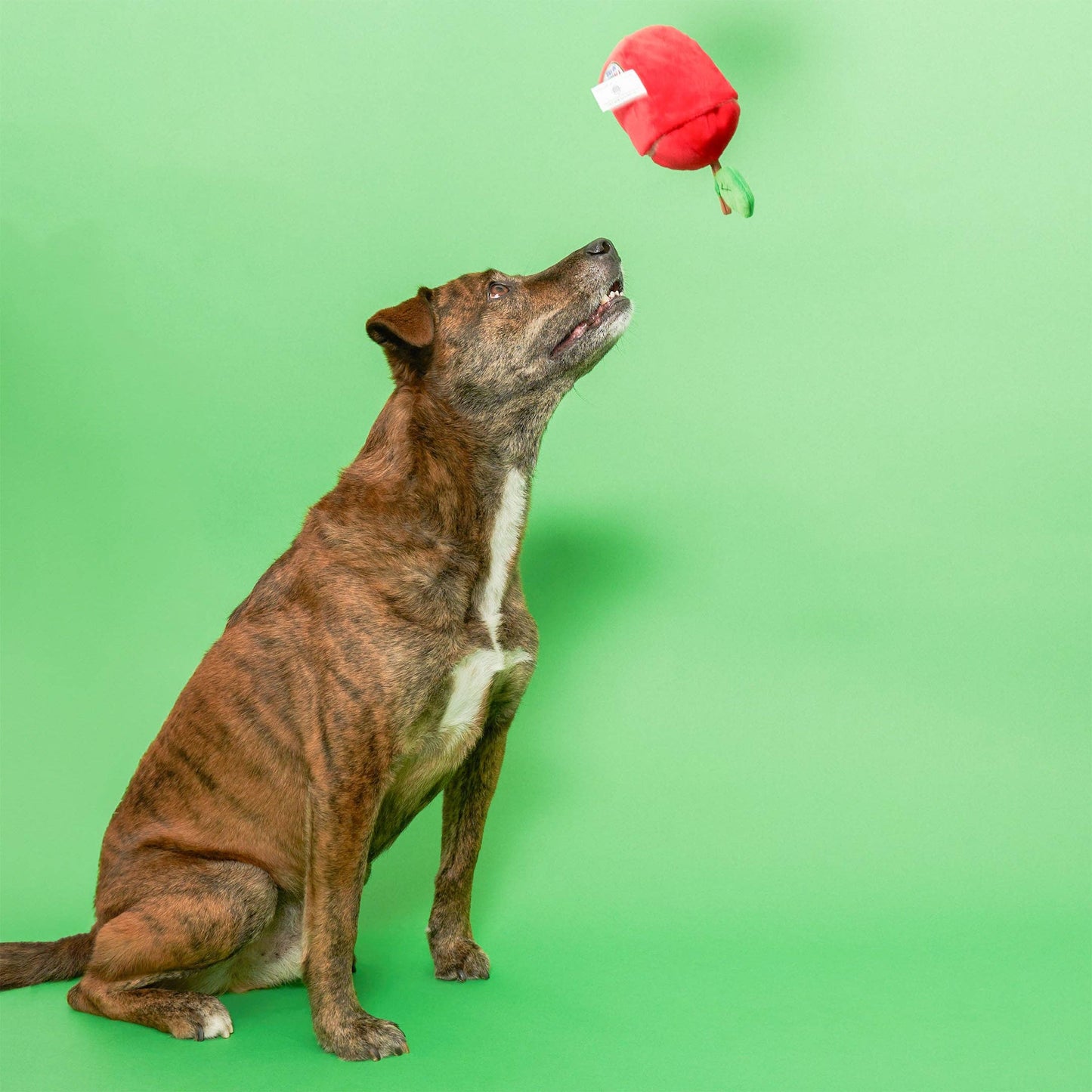 FurryFolks Apple Nosework Toy