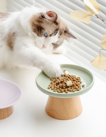 Solid Wood High Stand Ceramic Pet Bowl