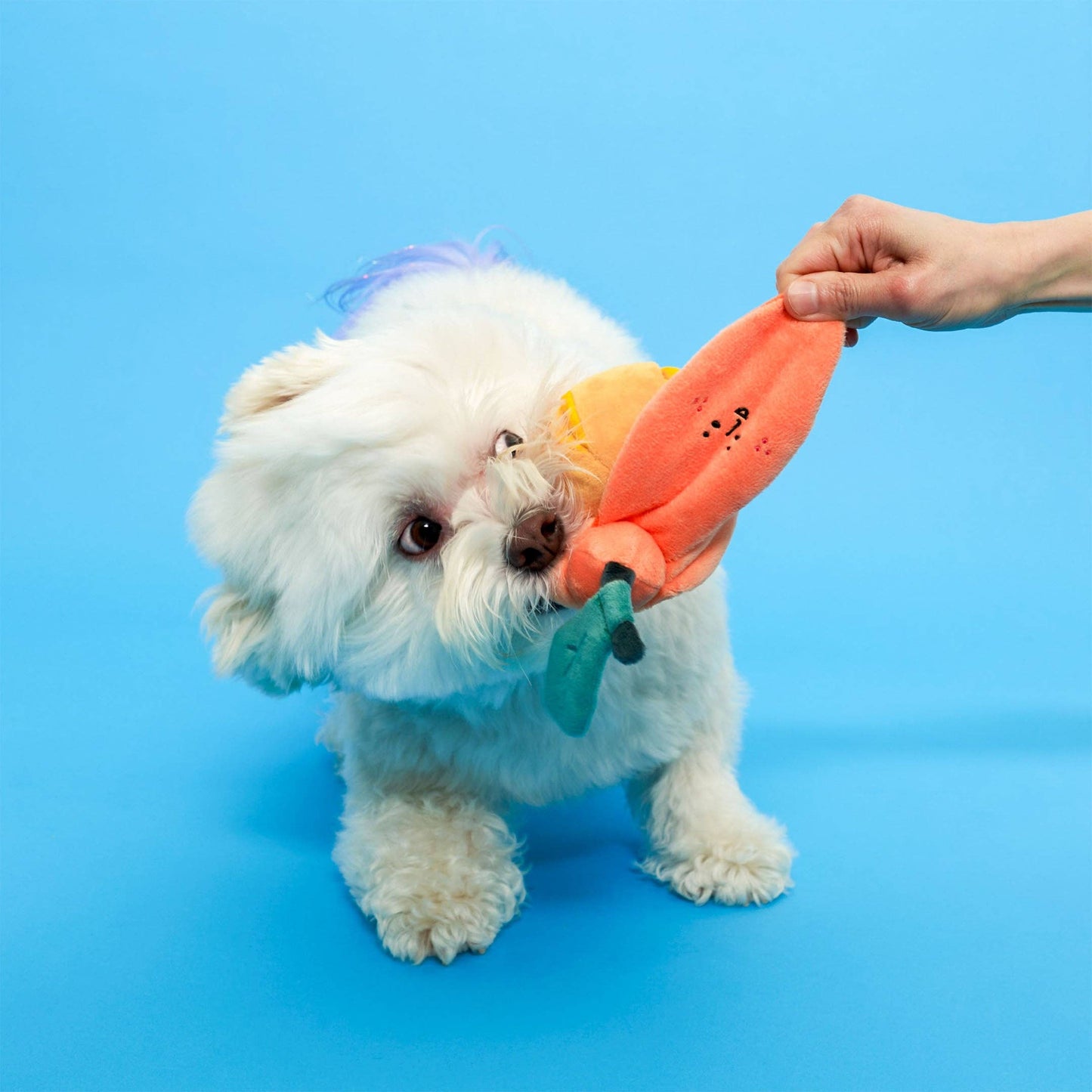 FurryFolks Orange Nosework Toy