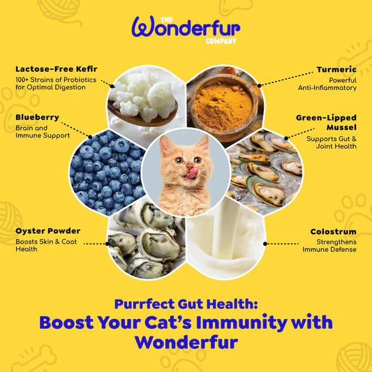 Wonderfur Bites Immune Support for Cats (Copy)