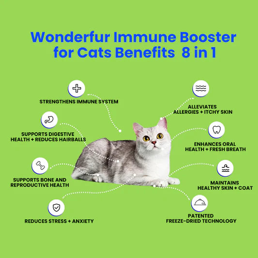 Wonderfur Bites Immune Support for Cats (Copy)