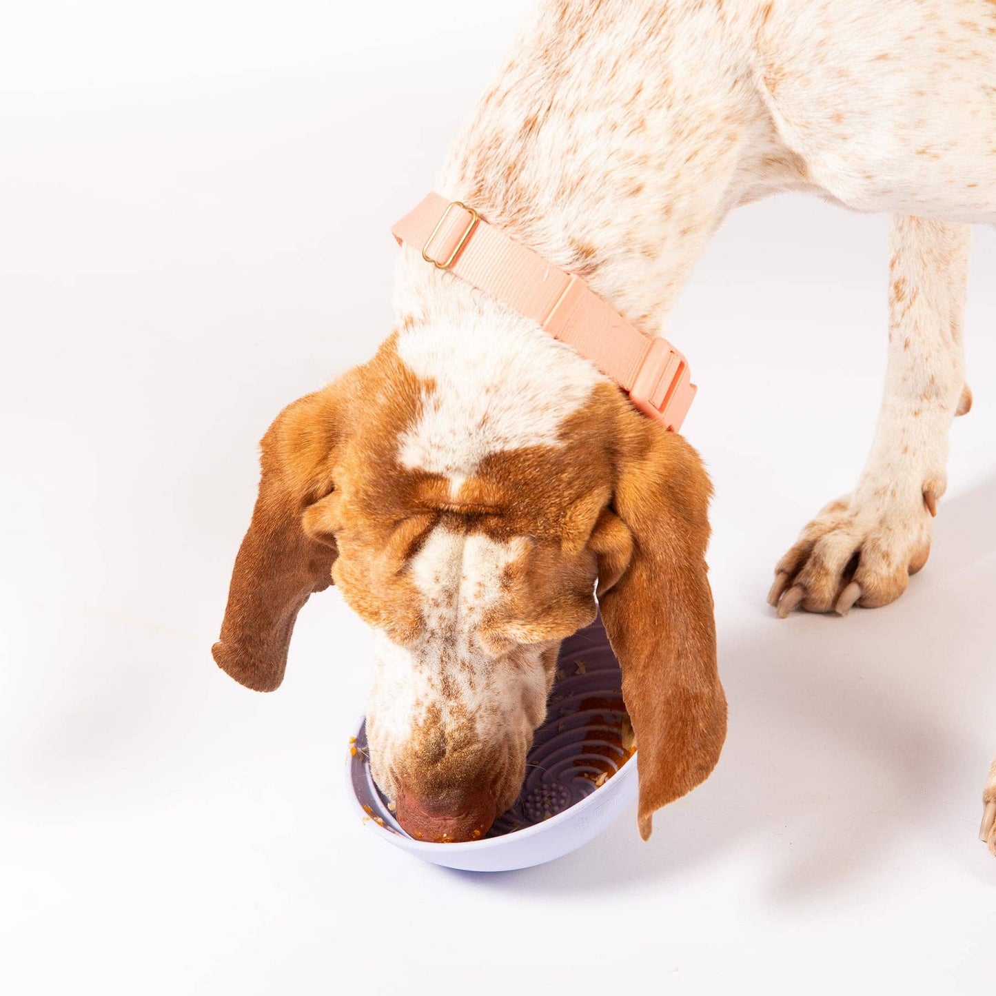 Awoo Wobbowl Lick & Slow Feeder Bowl