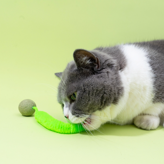 Magic Worms with Catnip Ball