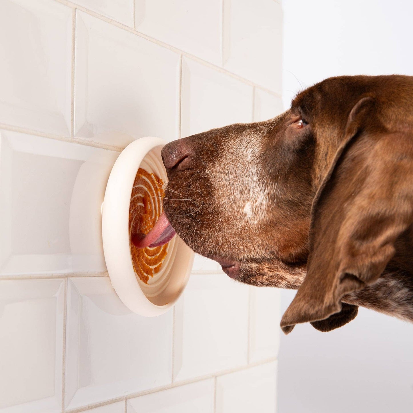 Awoo Lick Dish Slow Feeder