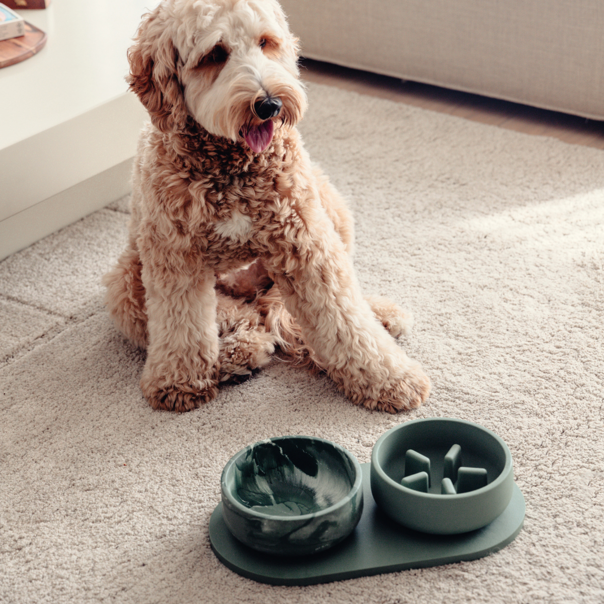 Pino Classic Dog Bowl