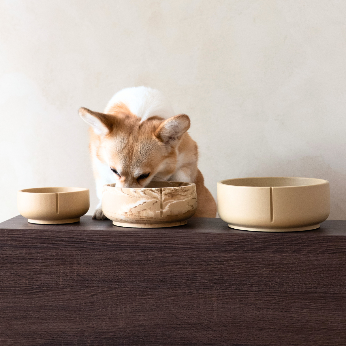 Pino Classic Dog Bowl