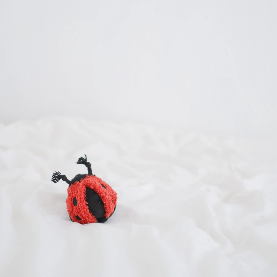 Lambwolf Collective Ladybug Pop 益智玩具