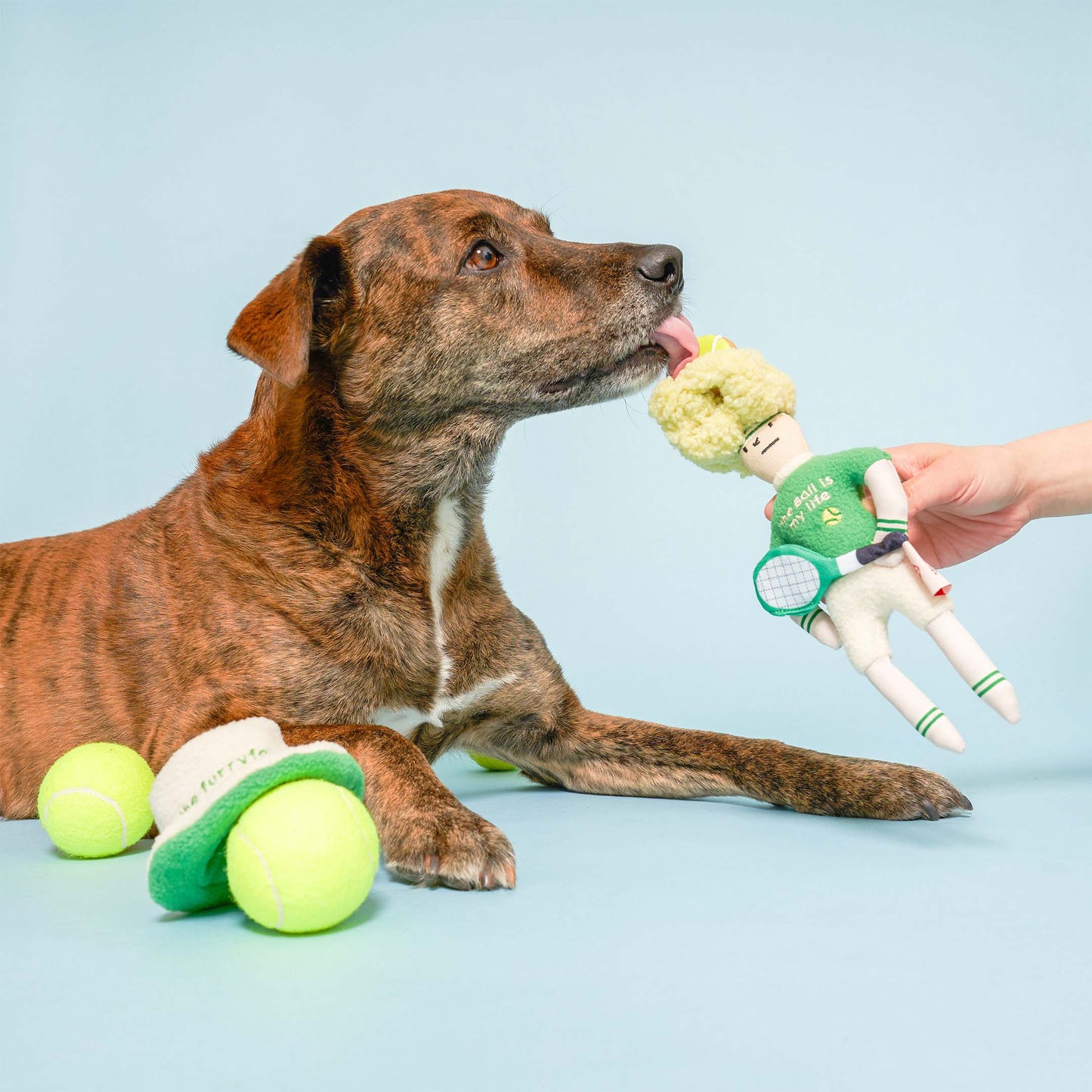 FurryFolks Tennis Hooman Nosework Toy