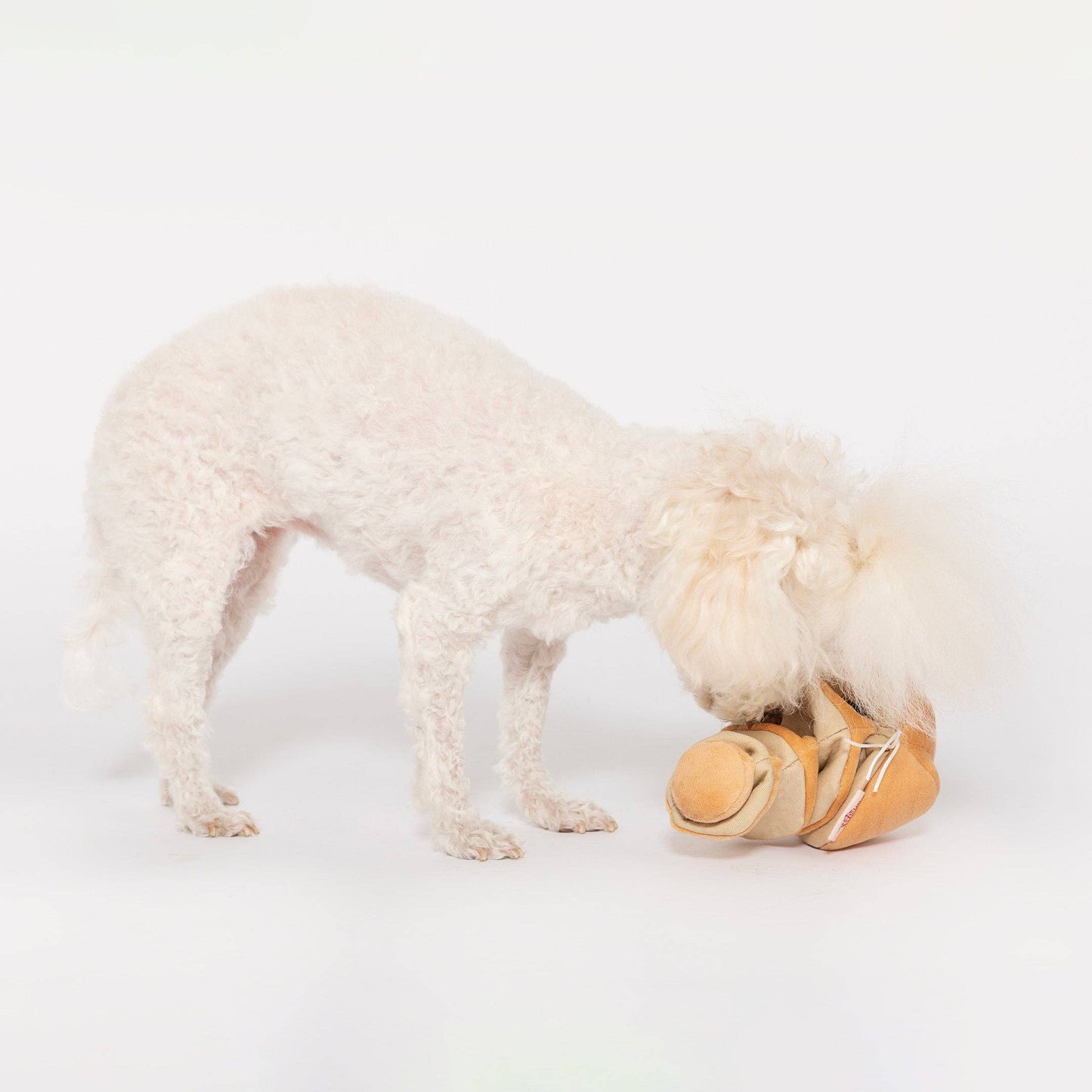 FurryFolks Yellow Onion Nosework Toy