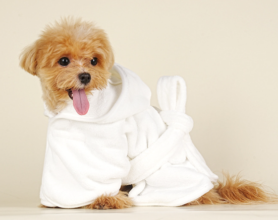 SweetBaby Pet Bathrobe Towel