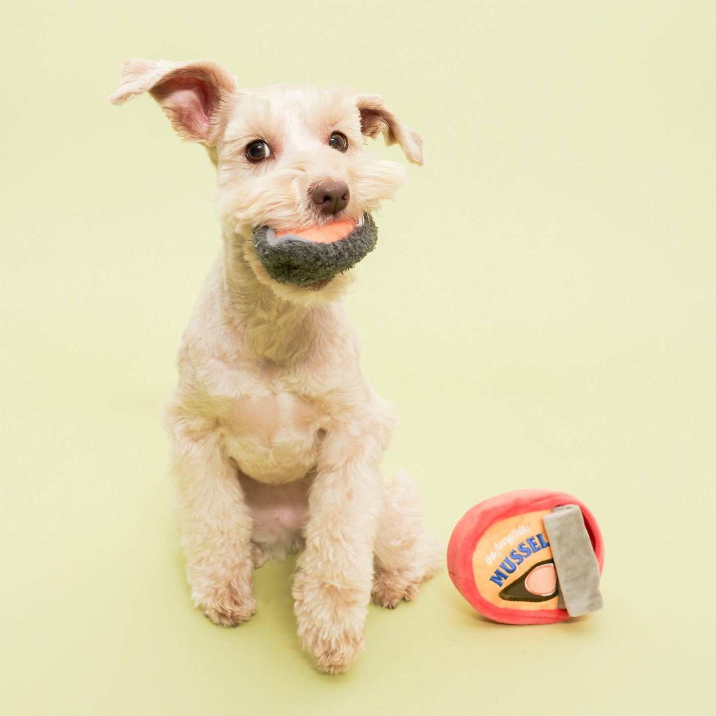 FurryFolks Tinned Mussel Nosework Toy