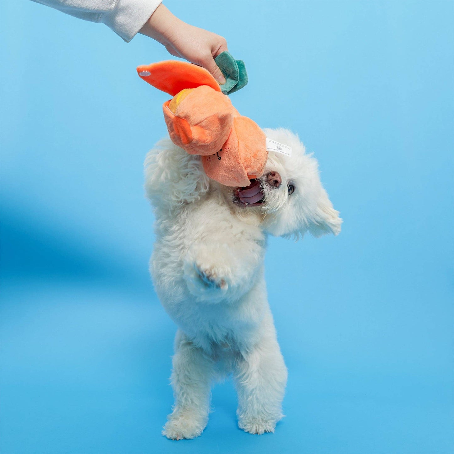 FurryFolks Orange Nosework Toy