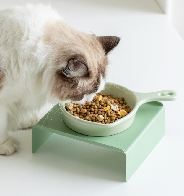 Coated Steel Pet Bowl Stand