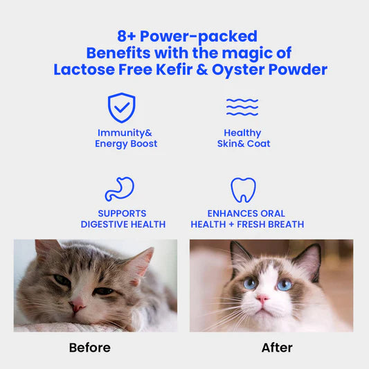 Wonderfur Bites Immune Support for Cats (Copy)