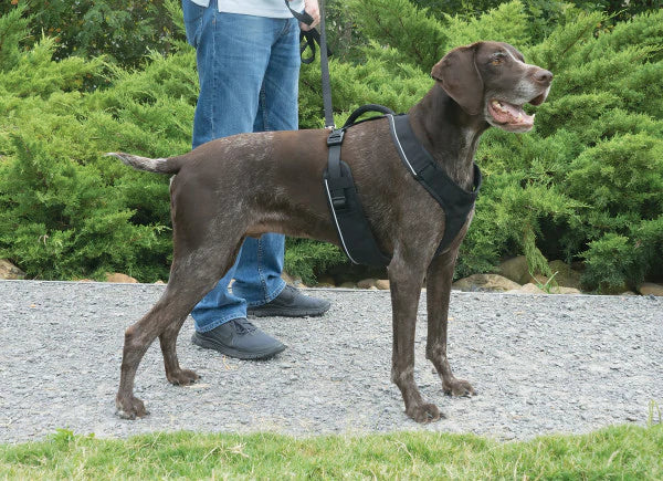 Easy Sport™ Harness