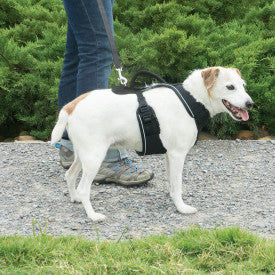 Easy Sport™ Harness